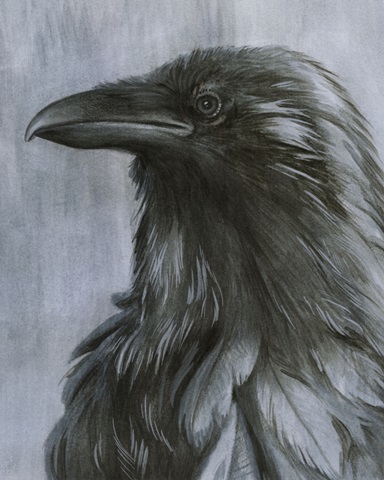 Consider the Raven II