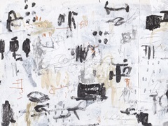 The Subtle Frenzy II