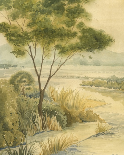 Rivanna Shore I