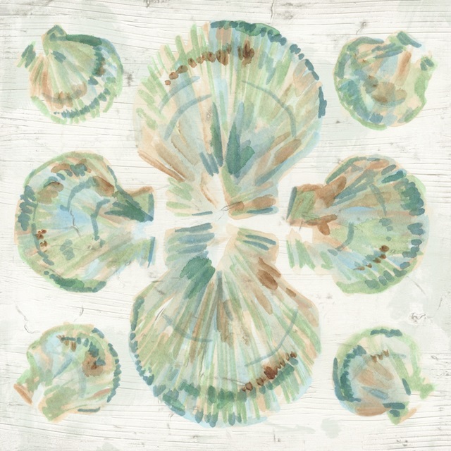 Saltwashed Shells I