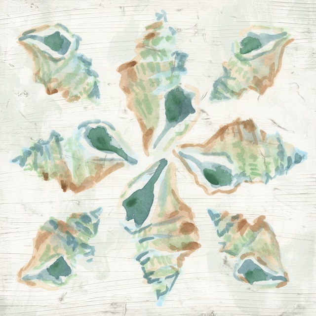 Saltwashed Shells II