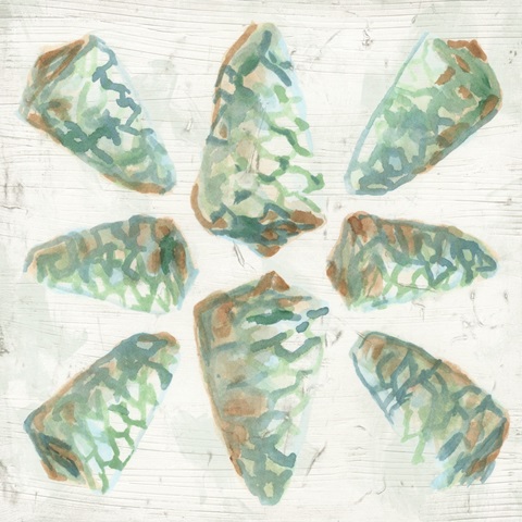 Saltwashed Shells III