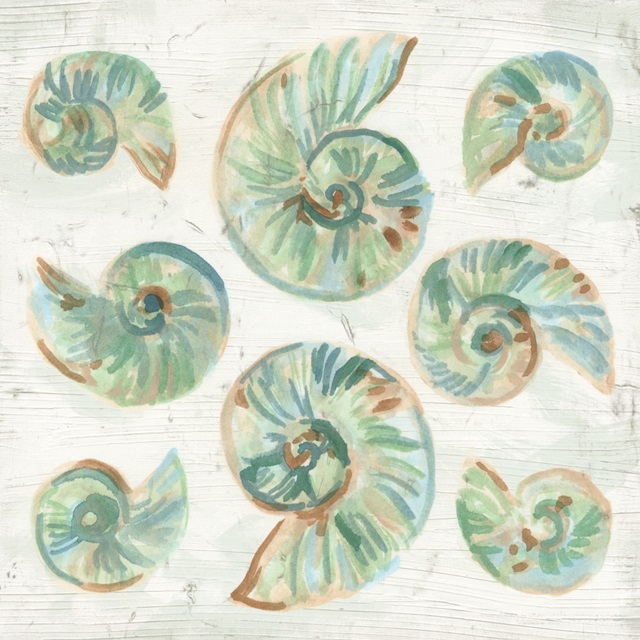 Saltwashed Shells IV