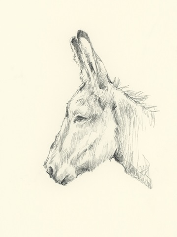 Donkey Study II