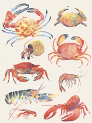 Crustacean Collection I