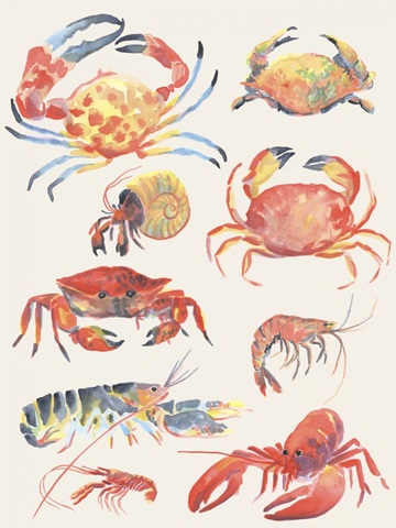 Crustacean Collection I
