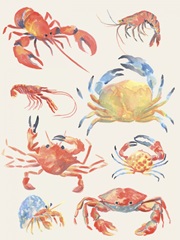 Crustacean Collection II