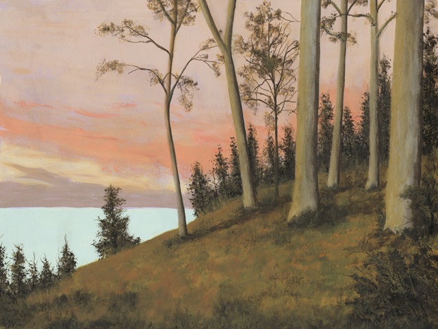 Remote Lakeshore I