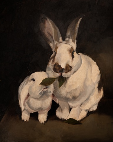 Rabbit Portraits I