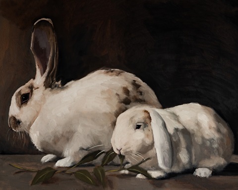 Rabbit Portraits II