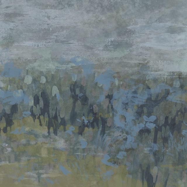 Meadow Timelapse II