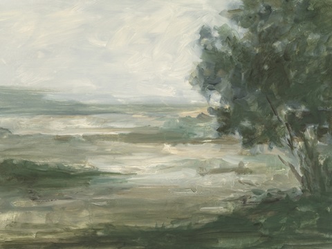 Serene Valley Vista II