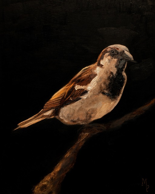Bird Studies I