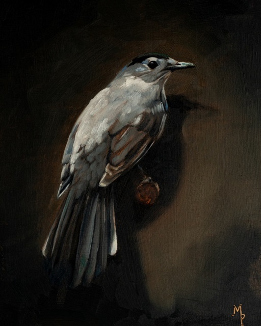 Bird Studies III