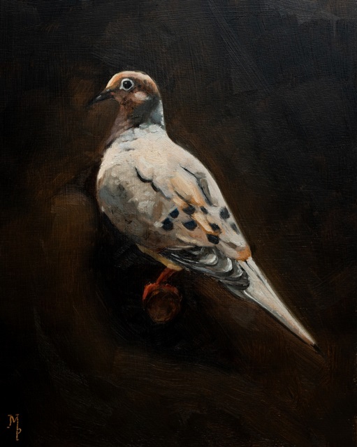Bird Studies IV