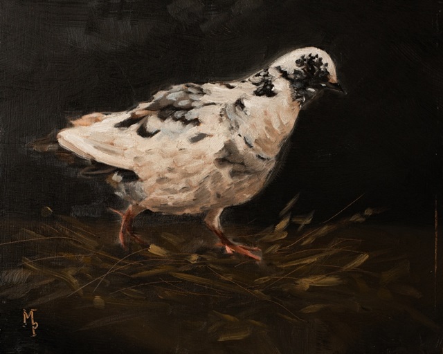 Bird Studies V