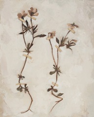 Painterly Botanical Studies I