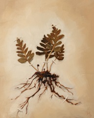 Painterly Botanical Studies II