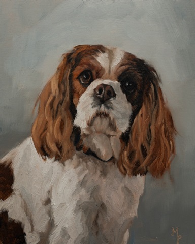 Pet Portrait Studies I
