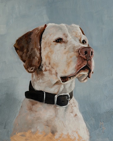 Pet Portrait Studies II