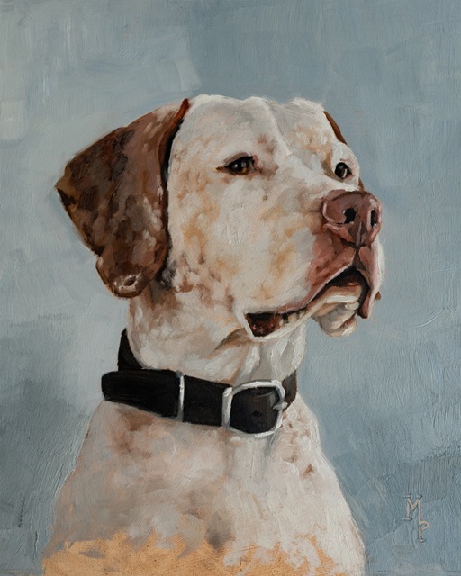 Pet Portrait Studies II