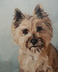 Pet Portrait Studies III