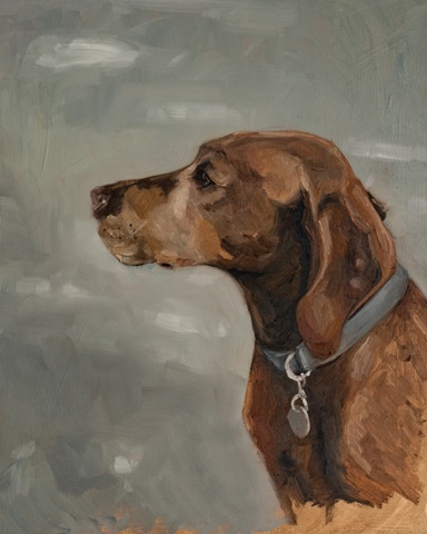 Pet Portrait Studies IV