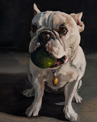 Pet Portrait Studies V