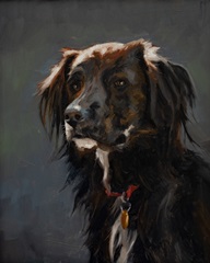 Pet Portrait Studies VI