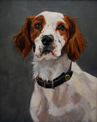 Pet Portrait Studies VII