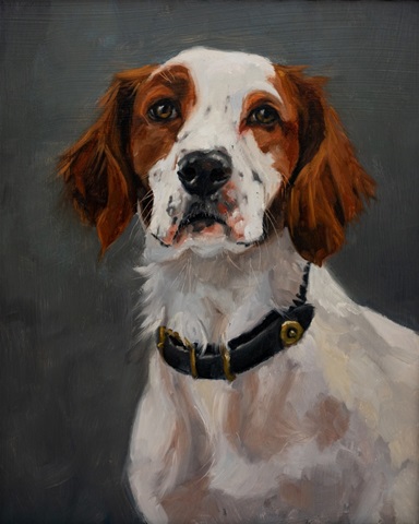 Pet Portrait Studies VII