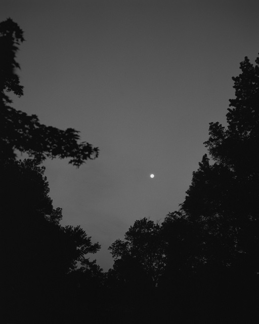 Autumn Moon