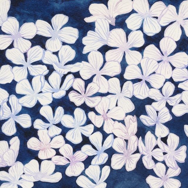 New Moon Vinca I