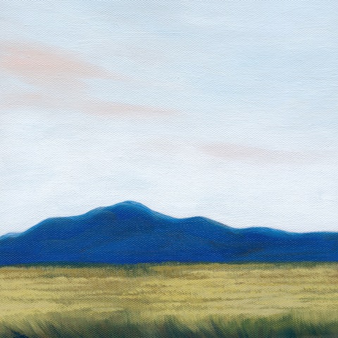 Blue Ridge Golden Meadow  I