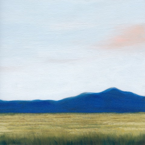 Blue Ridge Golden Meadow  II