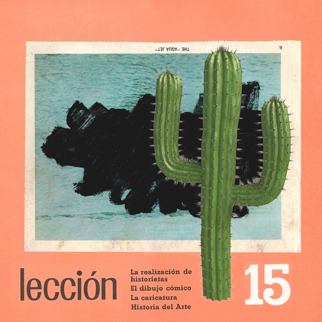 Oaxaca Cactus II