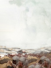 Coastal Inlet Study III