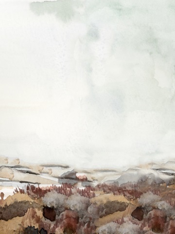 Coastal Inlet Study III