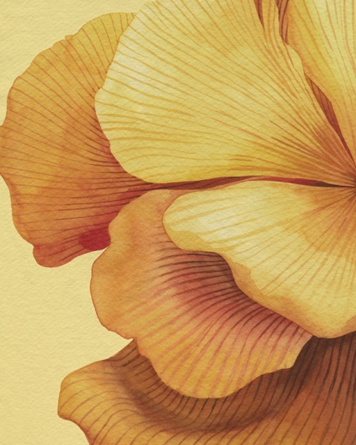 Sunset Petals I