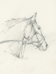 Bridled Horse Running Sketch I