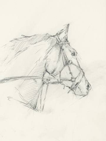 Bridled Horse Running Sketch I