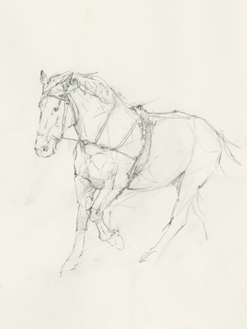 Bridled Horse Running Sketch II