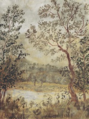 Smoketree Tapestry I