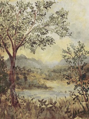 Smoketree Tapestry II