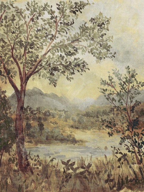 Smoketree Tapestry II