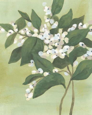 Verdant Branch Blossoms II