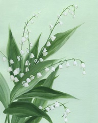 Lily of the Valley I