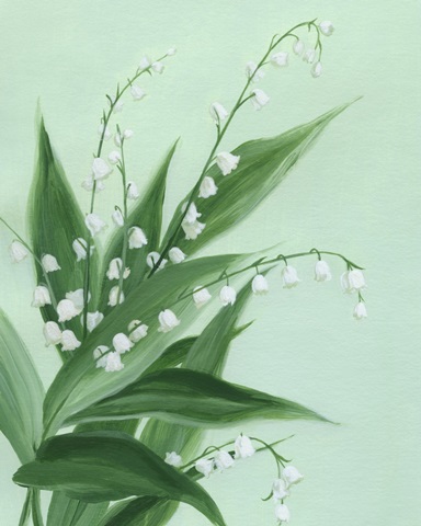 Lily of the Valley I