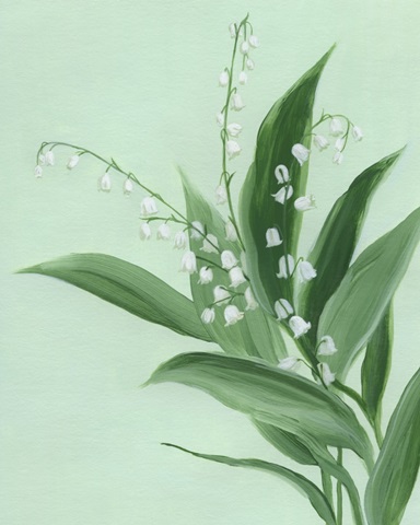 Lily of the Valley II