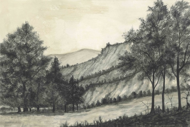 Windswept Valley I